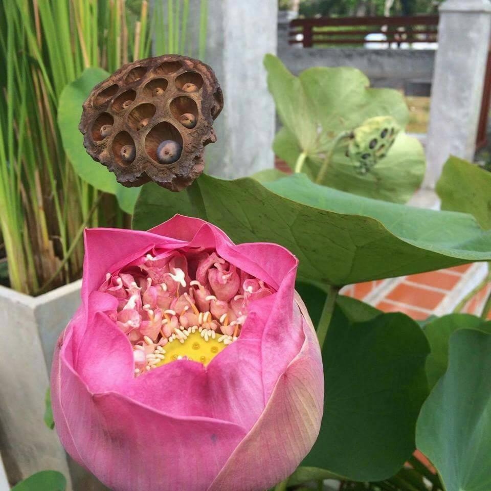 Arthaya Villas Ko Lanta Dış mekan fotoğraf